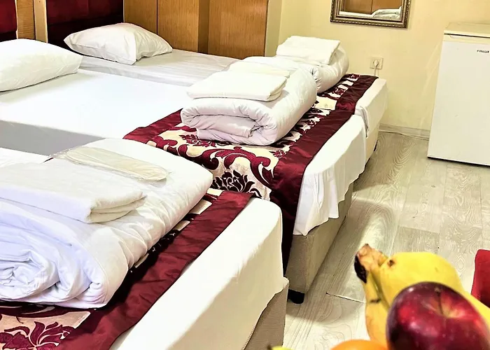 Viva Hotel Fatih Istanbul